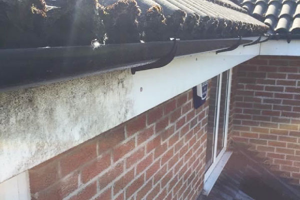 gutter, fascia, soffit cleaning services dublin, kildare, meath, wexford, waterford, kilkenny, cork, limerick